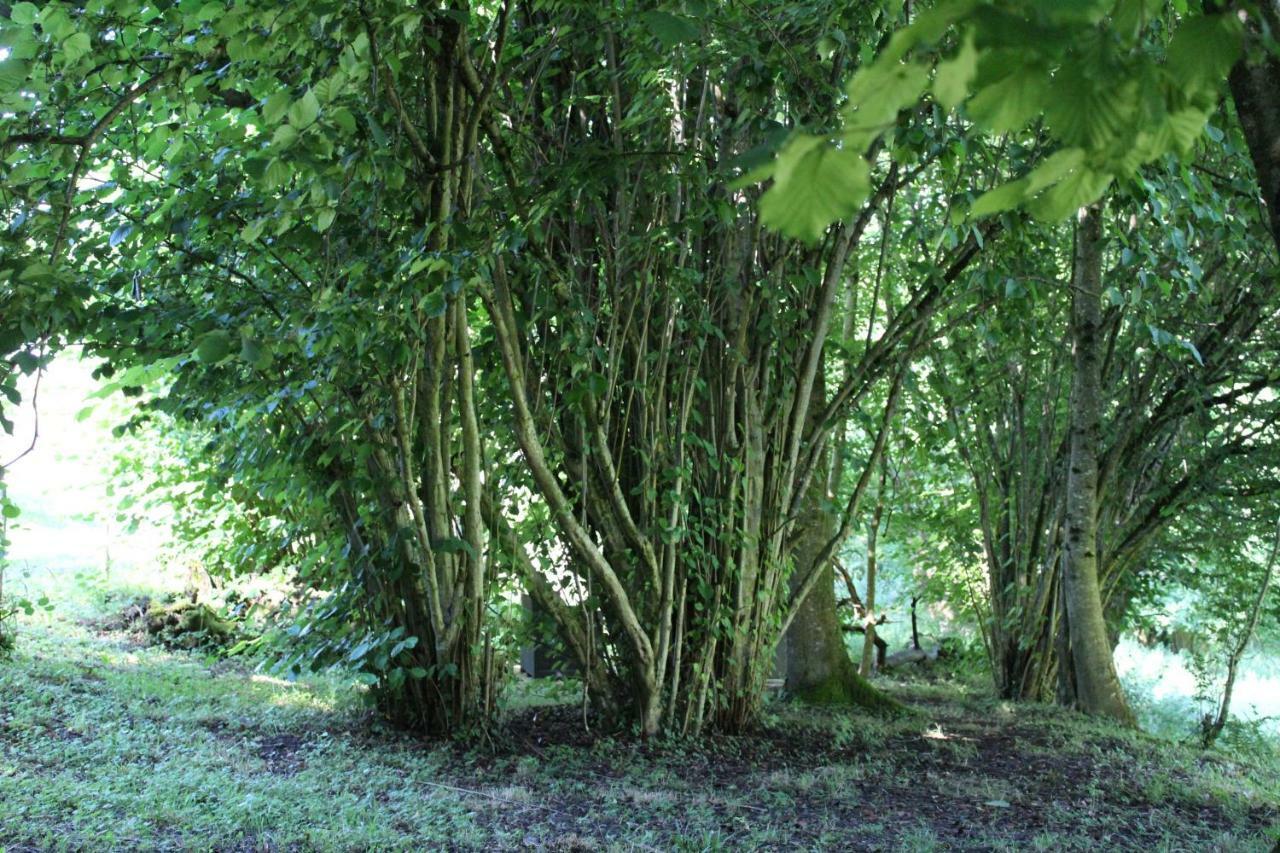 Du Cote De Lacoume Anla Buitenkant foto