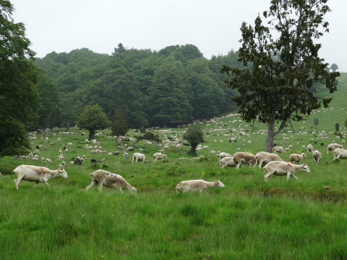 Du Cote De Lacoume Anla Buitenkant foto